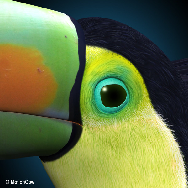 3d flying toucan - Toucan B ( Flying ) by MotionCow